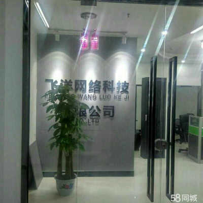 飛洋網絡科技 以技術服務為核心，引領數字化轉型新航程